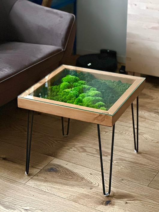 stoliki kawowe Stolik z Mchem i Świetlikami LED  50x50 cm  Szkło Hartowane