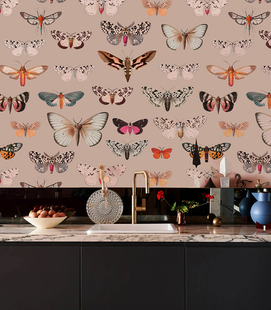 tapety i naklejki ścienne Tapeta Colorful Butterfly Pink
