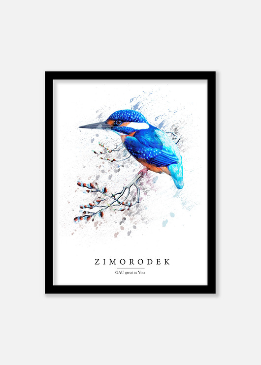 Zimorodek Plakat GAU Home
