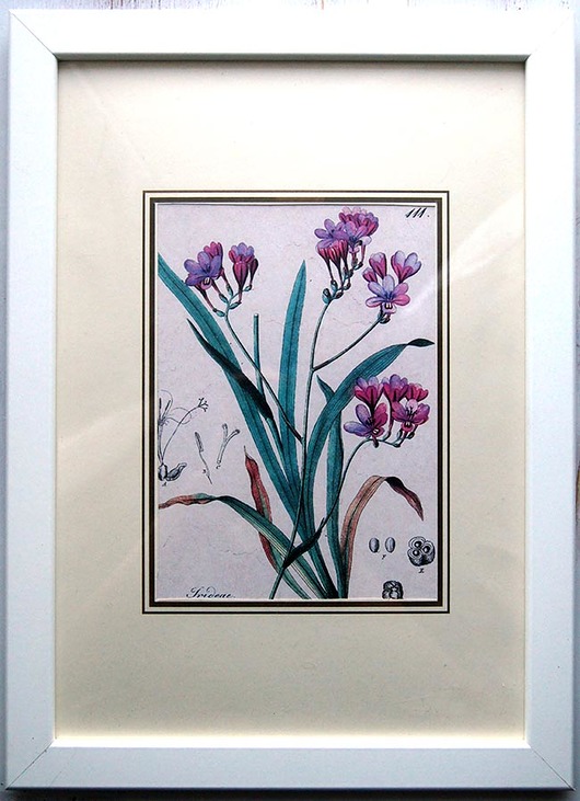 Botaniczne inspiracje Galeria Belladonna