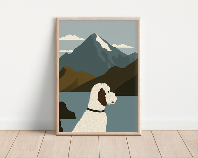 plakaty Plakat lagotto romagnolo