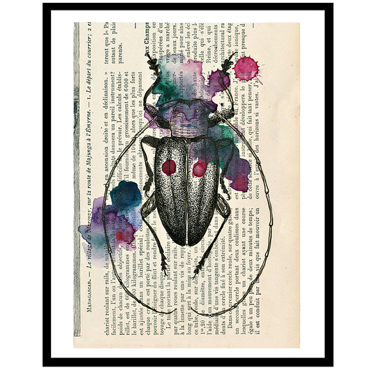 Cylindorthorax 30x21 cm A4 JUST ILUST Justyna Małczak