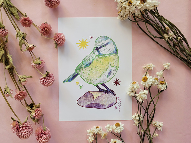 grafiki i ilustracje Modraszka print A5