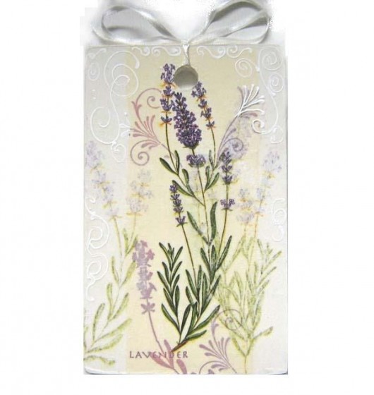 Lavender Iwona Rutkowska