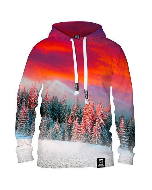 bluza z kapturem damska Damska Bluza z kapturem DR.CROW Shinning Winter