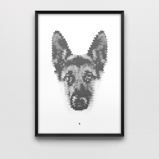 Plakat - Pies LazyDog