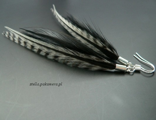black & white Stella