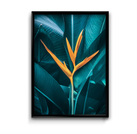 Plakat Egzotyczne liście #1 Bury Lis