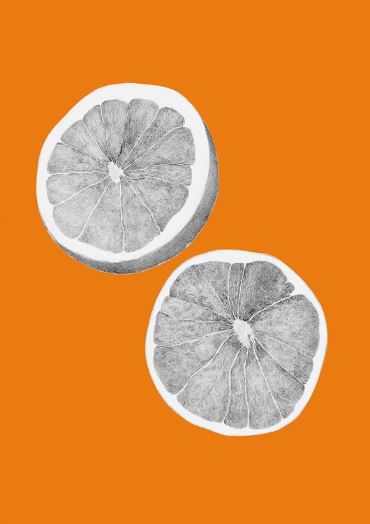 plakaty Plakat  Citrus paradisi