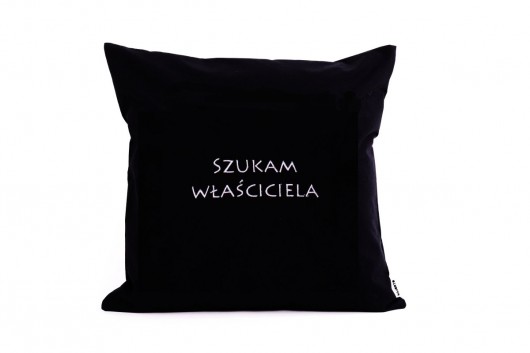 Poduszka Szukam właściciela Majunto
