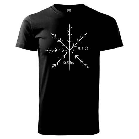 t-shirty męskie Tatra Art - Zakopane zimowa stolica Polski