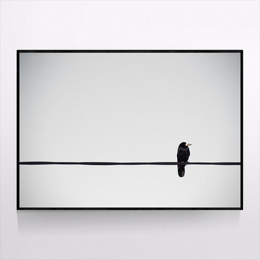 Plakat BIRD MUKKO