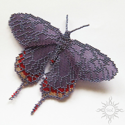 broszki Nocny motyl I, brosza, beading