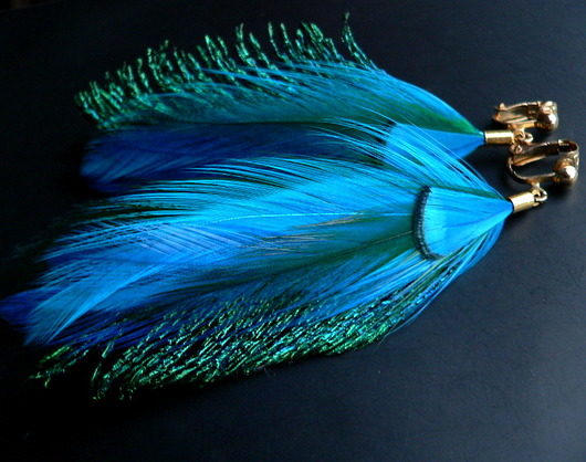 motyle niebieskie Stella