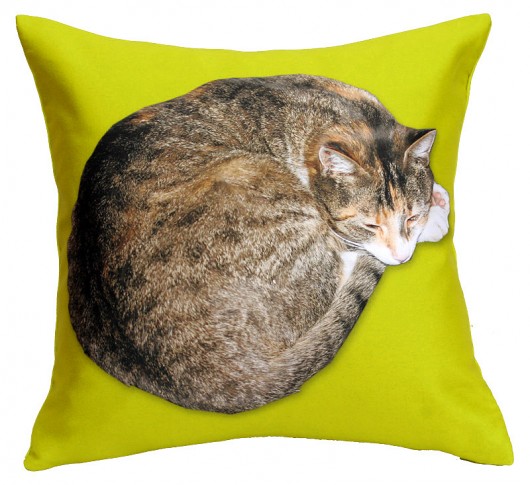 promocja! kot dla alergika 36cm :) poduszka AT design