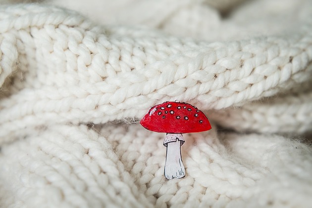 przypinki Przypinka z czerwonym muchomorem