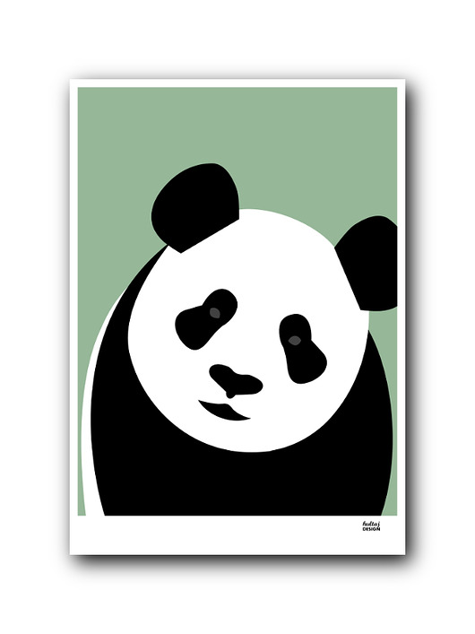 obrazy i plakaty do pokoju dziecięcego Plakat Panda zielona