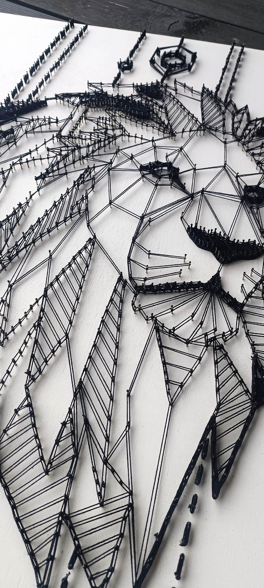 obrazy OBRAZ LEW, string-art, 3D