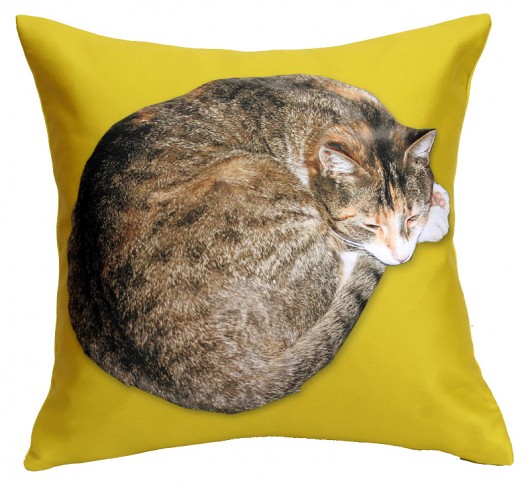 kot dla alergika :) limonka 36CM AT design
