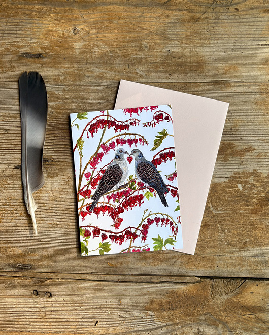 kartki okolicznościowe - wydruki Turkawki- Kartka- Grafika- Ilustracja- Ptaki