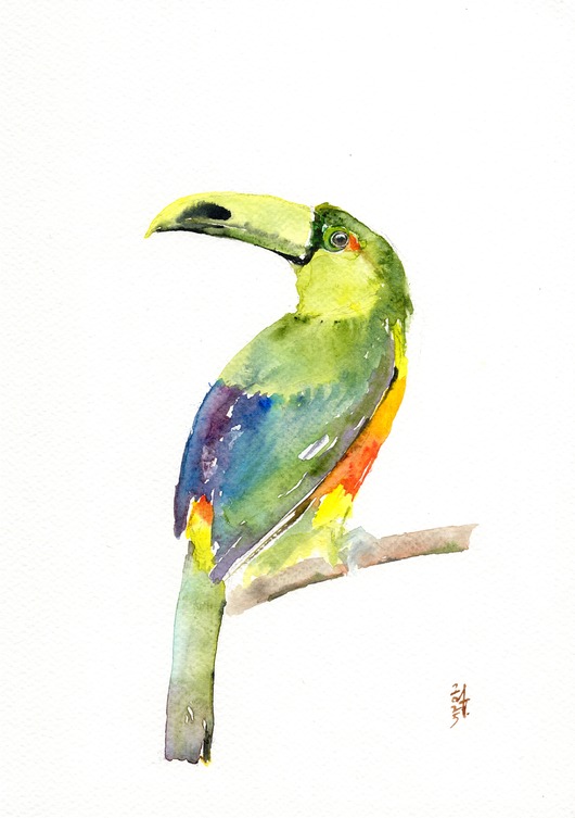 obrazy Oryginalna akwarela. Tukan