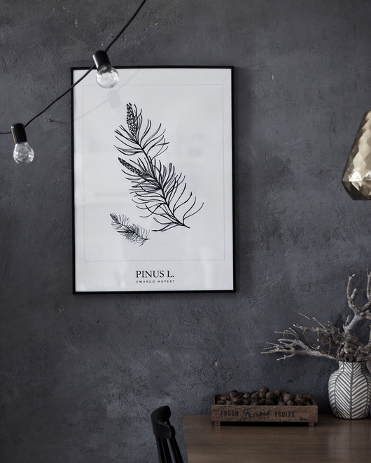 plakaty Plakat PINUS L. 50x70 cm