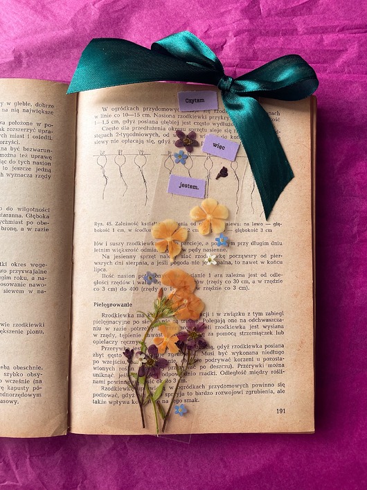 zakładki do książek Zakładka do książki z suszonymi kwiatami