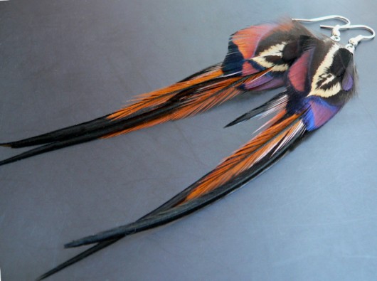 sparrow Stella
