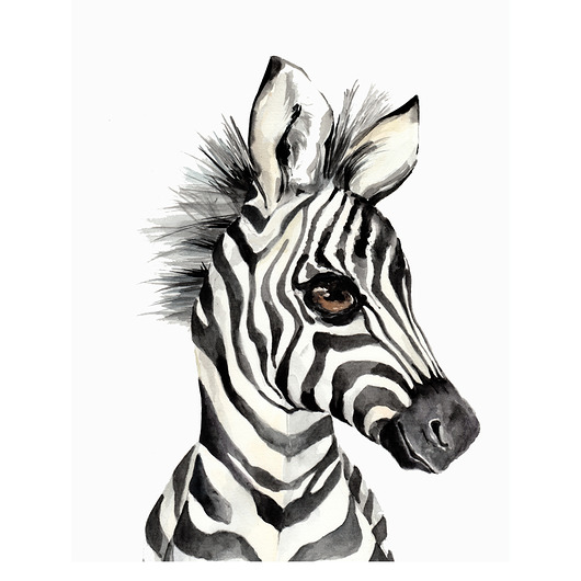 Obrazek "Zebra" Bim Bla