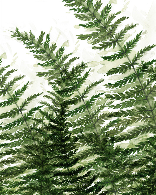 plakaty Plakat Zamówienie specjalne / paprocie