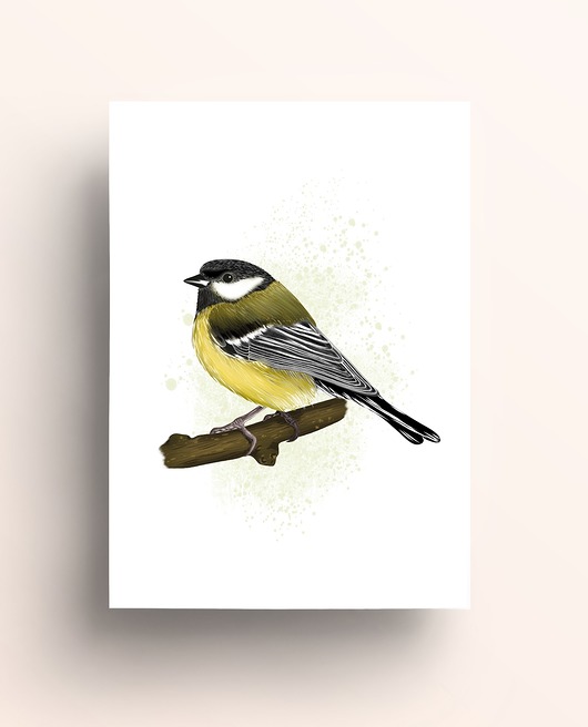 grafiki i ilustracje Sikorka bogatka