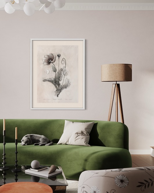 grafiki i ilustracje Mak  print  50x70 cm