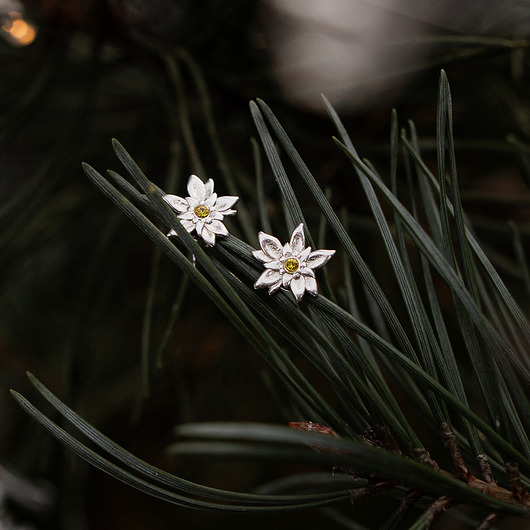 kolczyki srebrne Szarotki - srebrne kolczyki na sztyftach