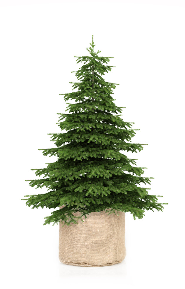 akcesoria różne DJ 1014 Donica osłonka jutowa laminowana duża fi 62 X 43 h cm