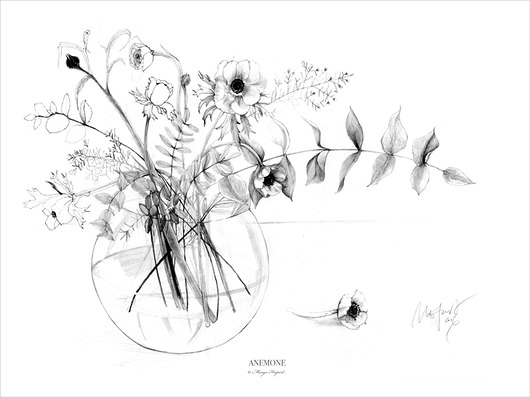 Anemone , print 50x70 cm Margo Hupert