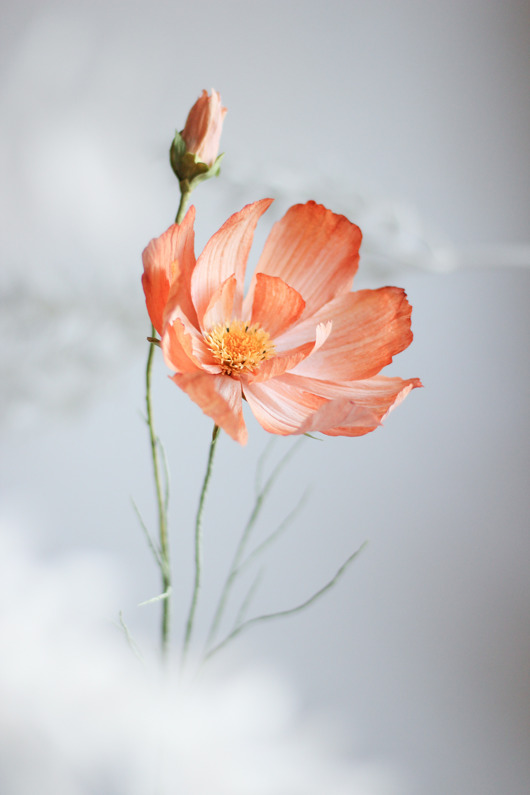 dodatki - różne Dekoracja botaniczna, papierowy kwiat - kosmos jasnopomarańczowy