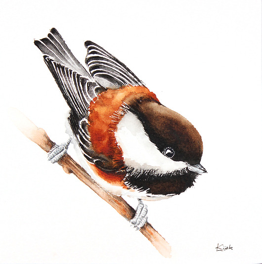 Sikora brunatna  - plakat, reprodukcja 20x30cm Karolina Kijak