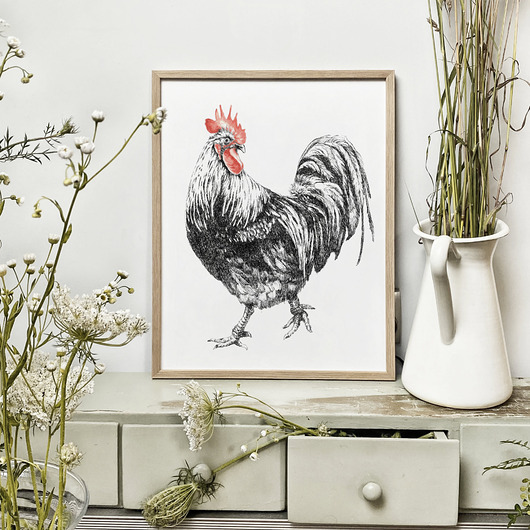 grafiki i ilustracje Kurka