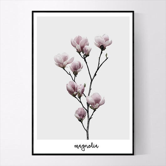 Plakat MAGNOLIA NO.2 21x30 CM MUKKO