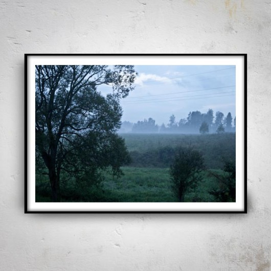 Good Evening 50x70 mucca by mua