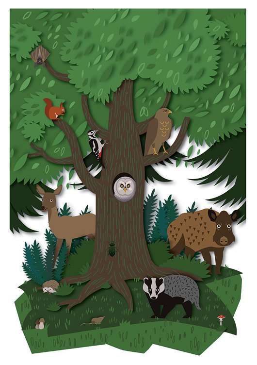 obrazy i plakaty do pokoju dziecięcego Las