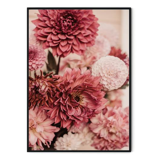 Plakat botaniczny Dalie no. 4 myscandi