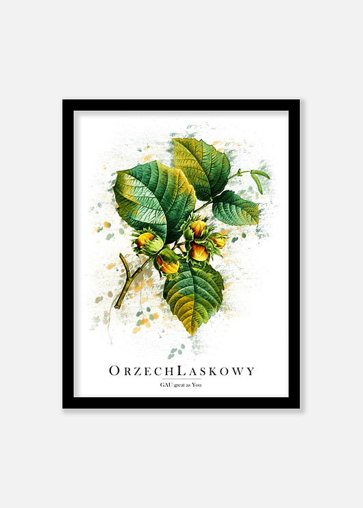 Orzech Laskowy Plakat GAU Home