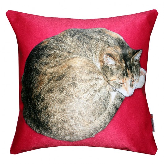 promocja! kot dla alergika 36cm :) fuksja AT design