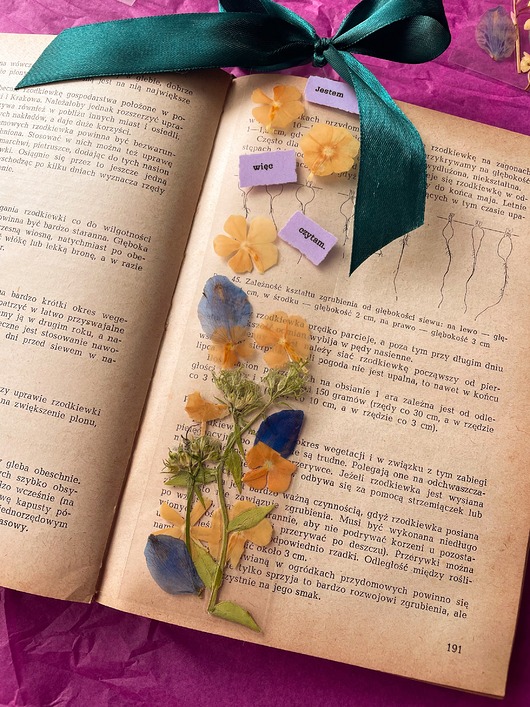 zakładki do książek Zakładka do książki z suszonymi kwiatami