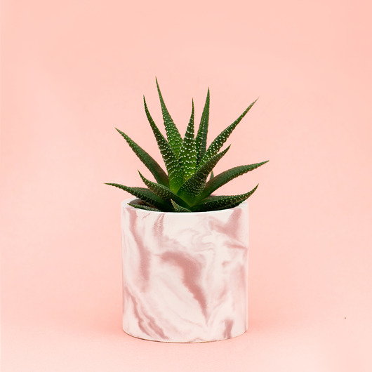doniczki Osłonka betonowa na sukulenty Pink Marble 8 cm