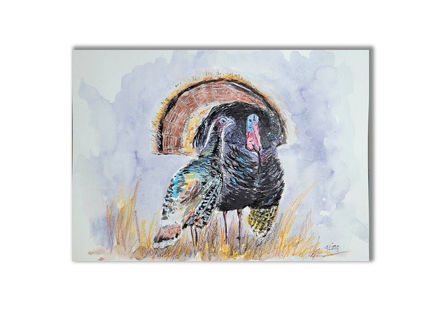 grafiki i ilustracje Indyk i indyczka. Akwarela ręcznie malowana