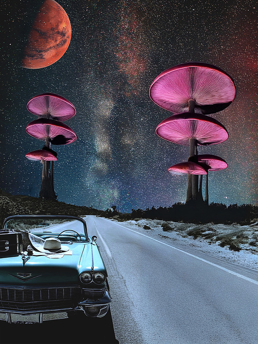 plakaty Plakat / Surrealistyczny Kolaż / Magic Road