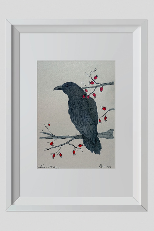 grafiki i ilustracje Rysunek Kruk 30x20cm + biała rama A4