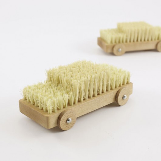 Brush Car POOREX